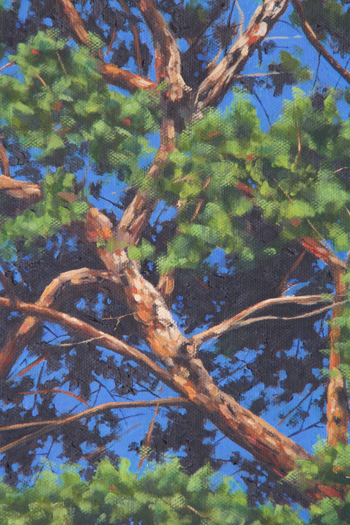 "The Ode in Colors" — detail 1