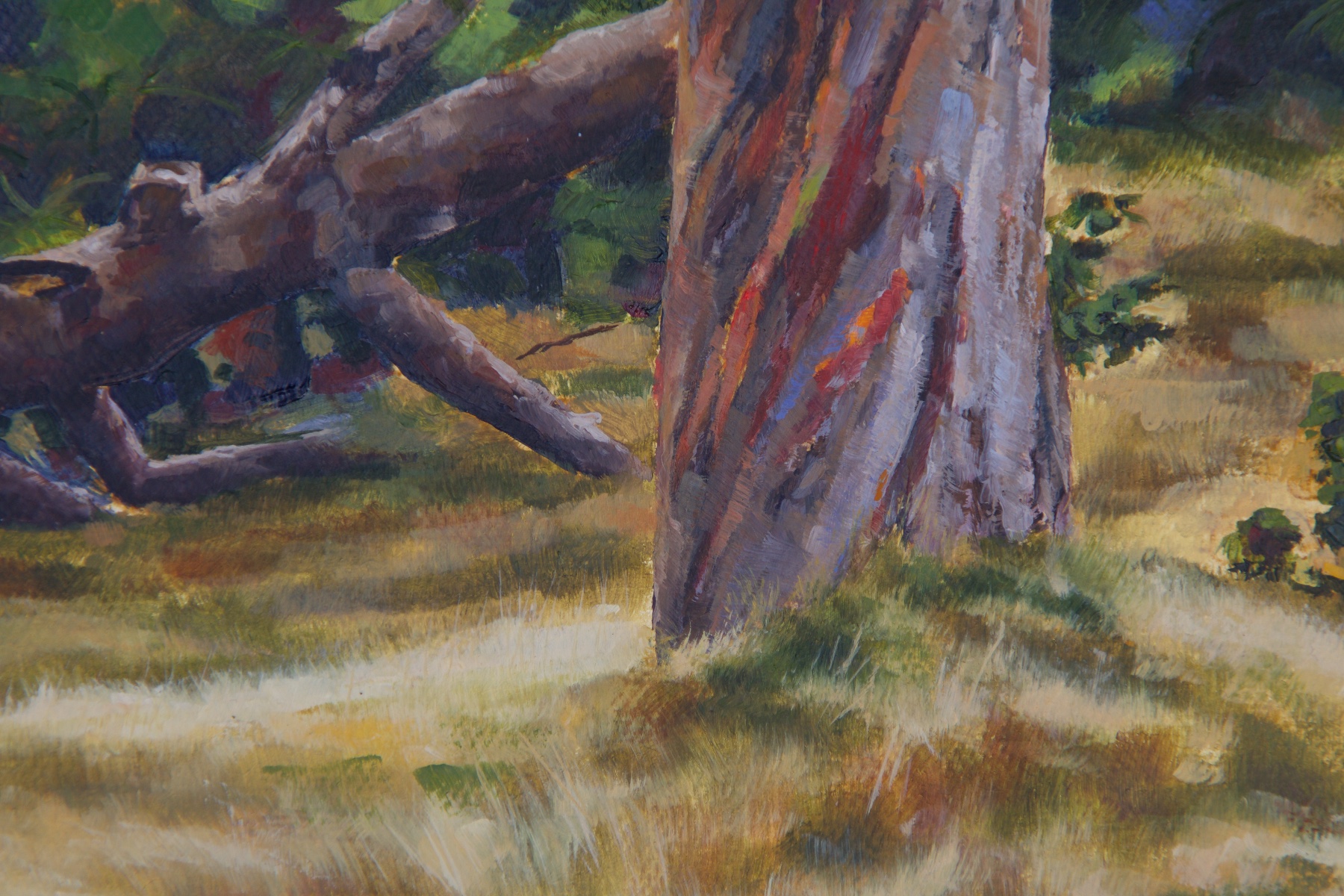 "Colors of the Gummy Tree" — detail 2